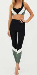 Beach Riot Vienna Colorblock Legging